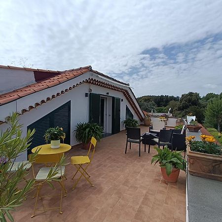 Casa Olivella Apartment Торе дел Греко Екстериор снимка