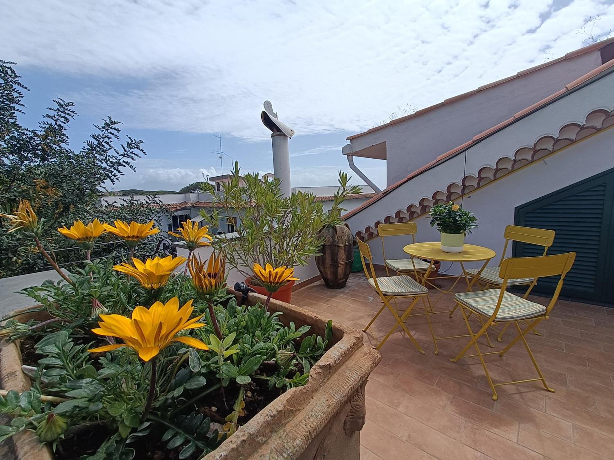 Casa Olivella Apartment Торе дел Греко Екстериор снимка