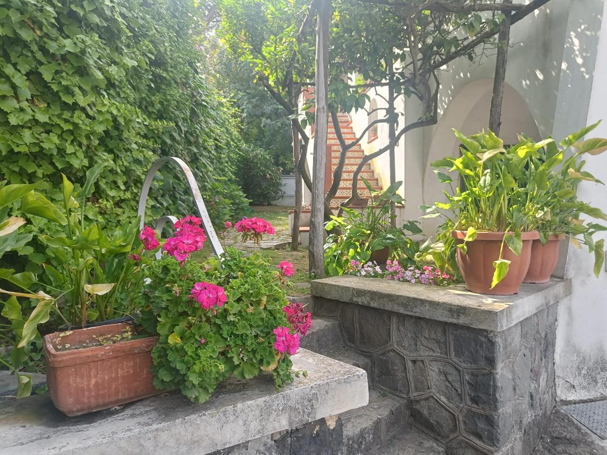 Casa Olivella Apartment Торе дел Греко Екстериор снимка